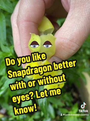 I pinned eyes on #Snapdragon. What do you think? #junkdrawerpuppetry #becreative #everythingisapuppet #ellengreene 