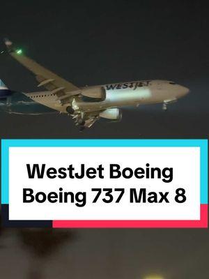 WestJet Boeing 737 Max 8 and Spirit Airlines Airbus A320-200 arrival into Los Angeles. #fypシ゚viral #onthisday #LosAngeles #California #KLAX #PlaneSpotting #InNOutLAX #WestJet #SpiritAirlines #Like #Share #Follow #RoadTo30kFollowers #YeahBuddy #BepsiAirlines #LetsGooo