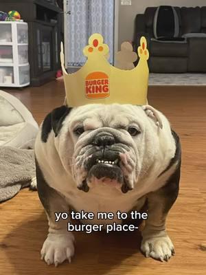 bro’s diet order 😭 #englishbulldog #bulldog #bulldogs #bulldogsoftiktok #dog #dogsoftiktok #dogs #doglover #doglife #doglover #dogmom #bro #panda #mcdonalds #mcdouble #cutedog #funnyvideo #funnytiktok #funnydog #viralvideo #viraltiktok #explorepage #foryoupage #fypシ #fyp #fypage 