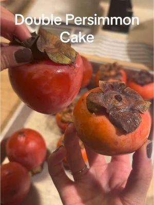 DOUBLE PERSIMMON CAKE 🧡🧡🧡 2025 is serving and it’s only been two days 😂 welcome to the year of now, of no excuses, the year of go. Aside from the slip-ups, the flavors of persimmon, nutmeg, cinnamon and bourbon are so perfect and you could bake it into a loaf, a rectangular tin, or a round cake pan :) Comment “persimmon” below and I’ll DM you the final recipe with clear step by step instructions so that you don’t make any of the mistakes I did 😂 happy new year! #baking #persimmon #2025 #resolution #cake #bread #loaf #koreanfood #persimmonbread #persimmoncake 