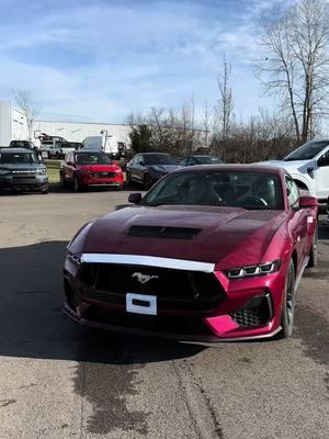 Unwrapping the 2025 Mustang GT in an all new color! #fyp #dreamcar #lebanonfordperformance #lfp #ford #mustang #fordmustang #v8 #musclecar #cartok #lebanonford #s650