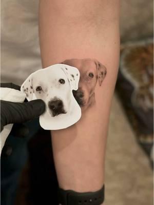 Mixed breed from today - what do you think it could be? #pitbull mix? #dalmation ? Book your micro dog tattoo today! #dog #tattoo 