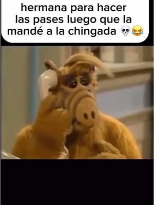 @ a tu sister 😆 // 🎥: NBC #sister #latinasister #jajaja #alf #latinosbelike #latinosenusa #latinosenestadosunidos #latinofamily #familia #omg #alfseries #hermanas #hermana #comedy #sitcom #somosmemes