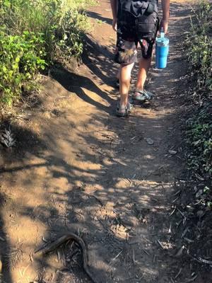 Morning friendship gardens hike in O’ahu #kidhikes #ohau #familyhikes 