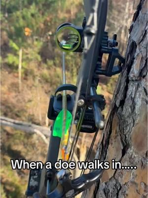 When a doe walks in….. #deer #deerhunting #hunt #hunter #huntgeorgia #saddlehunter #psearchery #psebows #tethrd #tethrdnation #saddlehunting #archery #bowhunter #adventure #whitetail #fyp #huntingvideo #wildlife@TethrdNation. @TeamPSE 