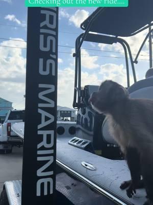 @Chris Coulter  Head to Chris’ Marine if your monkey is in the market for a new boat!  Customize your dream boat. 🛥️ #saltlife #rockport #2025 #haynieboats #boat #mysaltymonkey #fyppppppppppppppppppppppp #fypシ゚viral #fypシ #fypシ 