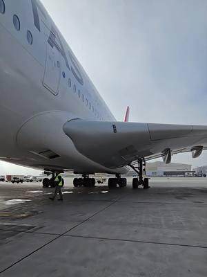 Waoo enserió que sí es muy grande. #airbus #airbusa380 #airplane #losangeles #california 