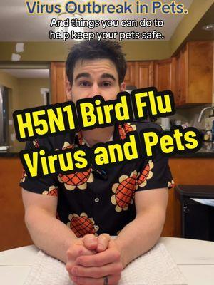 I’ve gotten a lot of requests to cover the H5N1 outbreak and our pets, so here is a quick and basic run down of the Bird Flu and what you can do to try and keep your pets safe! #fyp #catlover #doglover #petlover #vetsoftiktok #H5N1 #birdflu 