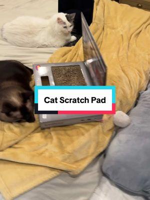 #creatorsearchinsights #catscratch #catscratcher #catscratchpad #cats #cat #catsoftiktok #catlovers #tiktokshopfinds #tiktokmademebuyit #unitedstates 