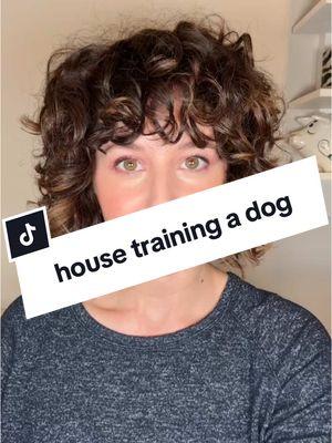 how do you train a dog to go to the bathroom outside? here are my top 5 (and a half 😅) tips! #housetraining #puppy #puppytraining #newpuppy #DogTraining #doglife 