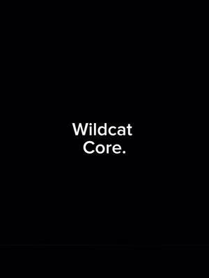 #vanoss #vanosscrew #vanossgaming #wildcat #iamwildcat #core 