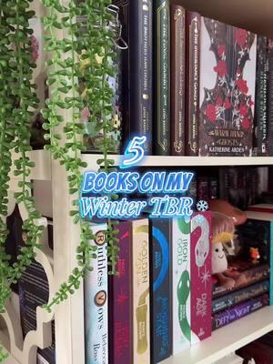 5 books on my winter TBR 🌬️ #wintertbr #winterfantasy #winterbooks #winterreads #cozy #fantasybooks #tbr #bookrec #bookrecs #reader #fantasybooktok #romantasy recs #bookrecommendations  