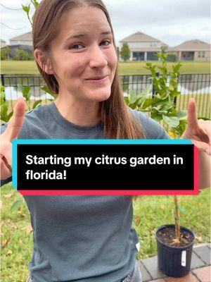 Curious about these bananas 🍌 #garden #floridalife #backyardgarden #backyardhomestead #gardentour 