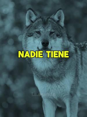 Nadie tiene que entender nada de mi vida, porque cuando el zapato aprieta es en mi pie que duele #reflexion #motivacion #aprender #amorpropio #feliz #disfrutalavida #fe 