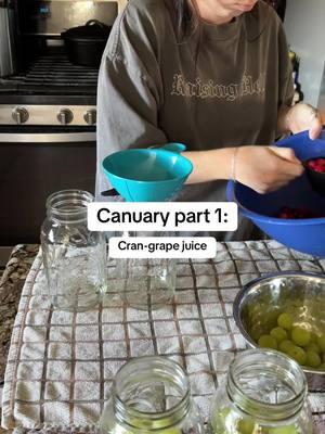 Canuary-ish 😂 I absolutely cannot can everyday but I will be sharing a few things this month! #canuary #canuary2025 #homestead #homesteadtiktok #homesteadtiktok #pressurecanning #canningtiktok 