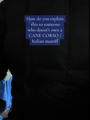 I honestly don’t think anyone can really explain it. you have to live it! #canecorso #canecorsoitaliano #largebreed #Italianbreed #mastiff #CleanTok #drool#velcrodogsl#protective  #whatitslikeowningacanecorso. #guard-dog #dogtok #dog #bigdog #fuyp #ditl #whatitslike #gooddog #cute #mastiff #funnydogvideos#creatorsearchinsights #drool #feelinggood #howdoyouexplain 