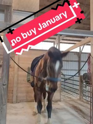 someone tell me is my abundance mindset and my no by January direct conflicts of each other? well I'm trying to sock some money away so I have abundance in savings what are you doing to pass the time? #letsridehorses #dressagerider #maresoftiktok #horsegirl #equestrian #dressagehorse #equestrianlife #barnlife #warmbloodhorse #bayhorsesoftiktok #nobuyjanuary 