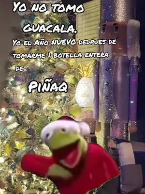 #kermitontiktok #kermitthefrog #kermit #loqueras #loquera #happynewyear #newyear #añonuevo @pinaq_official 🍍 @luisito 6969 #siyotomomeqritican #mecritican #luisalfonzo#colada 