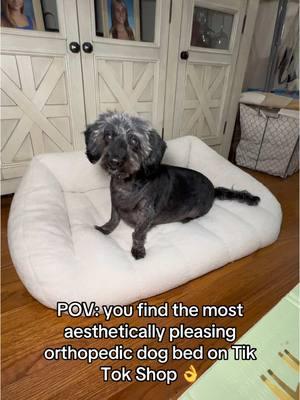 AND it’s cute!!! #dachshund #dachshundsoftiktok #dachshundpuppy #seniordog #olderdog #PetsOfTikTok #dogbed #orthopedicdogbed #fyp #for #you #page #ugc #tiktokshopfinds 