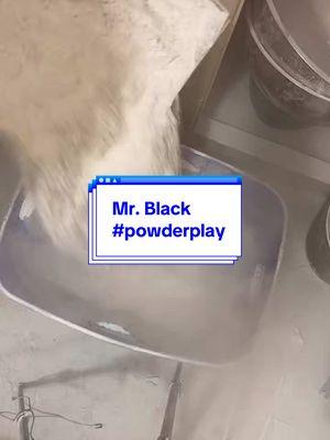 Mr. Black & Highfall Powderplay 💚💙  #ajaxpowderoverload #powderplayasmr  #ajaxpowder #powderoverload #powderydiva #fypシ #cleaningpowder #creatorsearchinsights #cornstarchpowder 