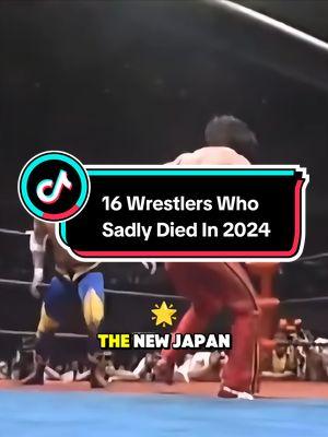 16 Wrestlers Who Sadly Died In 2024 #WWE #longvideo #wrestlers 