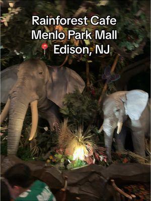 A winter friendly outting for the kiddos #momsofnewjersey #momtok #MomsofTikTok #rainforestcafe #menloparkmall #newjerseyactivities #njkidsactivities #for #you #page #boymom #njmom #microinfluencer #ugccreator 