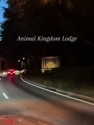 Stay with us at AKL🦒🦓 #akl #animalkingdom #animalkingdomlodge #disney #disneyworld #disneyresort 