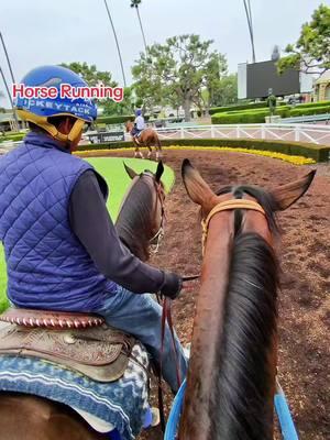 Horses Runnig #championhorse #horsetok #delmarfair #horsesoftiktok #santaanitapark #winner #winnerwinnerchickendinner #bwndiciones_para_todos🙌🙏 #creatorsearchinsights 