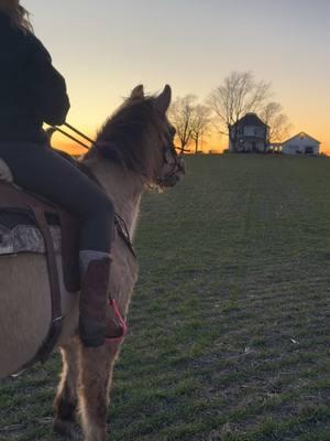 Riding home at sunset just hits different.  Oh to be 11 again without a care in the world♥️  #ridingintothenewyear  ##farmhorses #littlecowgirl #oldhorse#Home #sunset #horseback #oldfarmhouse #peaceful #fyp