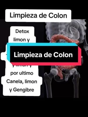 #dúo con @Alan Neira | Fitness Coach 🟣 #ejerciciosencasa #Detox #limpiezacolon  Como limpiar tu colon con este Detox 