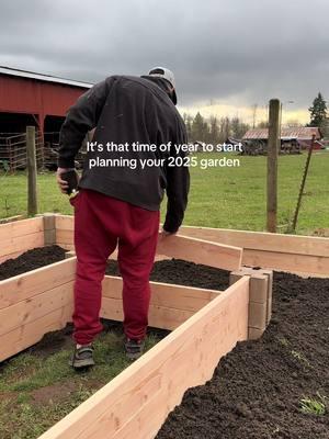 What are you planting in your garden this year?  #gardening101 #raisedgardenbeds #gardengang #zone8bgarden #gardenplanning #gardenproject 