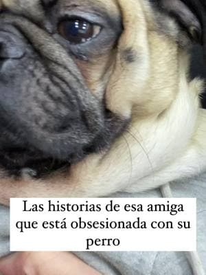 Si es mi humana  #pug #puglove #puglover #pugpuppy #puglovers #pugworld #pugoftheday #ilovemypug #pugsofinstagram #pugs #puglife #pugslife #dog #dogsofinstagram #doglover #dogs #puppylove #puppylife #puppyoftheday #puppydog #puppyoftheday #puppyofinstagram #pet #pets #petstagram #petlovers #instadog #viralvideos #viralpost #viralreels #perrihijos🐾❤️