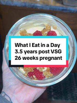 Here’s everything I ate today 26 weeks pregnant, 3.5 years post VSG #26weekspregnant #pregnancyaftervsg #wieiadpregnant #wieiadaftervsg #pregnancy #vsg #barifam 