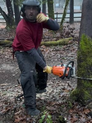 I’m used to a Homelite. #chainsaw #stihl #mastermechanic