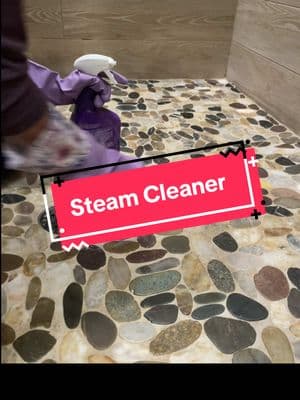 Handheld steam cleaner. #nochemicals #steam #CleanTok #clean #sanitize #fyp #newyearaura 