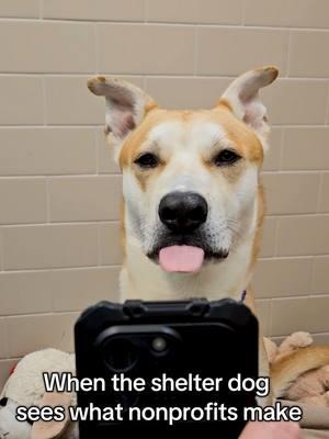 It's been a ruff year, Rufus! #workhumor #fyp #adoptme #shelterdog #broadcity #humor #sketch #nonprofit #animals  #dogsoftiktok  #animalshelter 