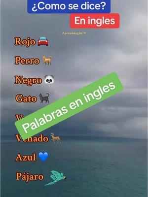 Palabras en ingles #ingles #inglesfacil #inglesrapido #aprendeingles78 #inglesamericano 