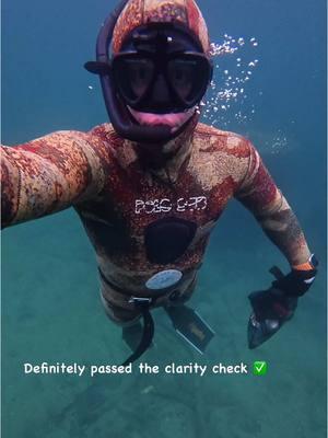 You think it passed the clarity test? #fypage #diving #washington 