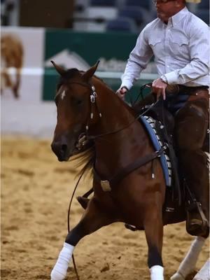 😤 #ApplyTheMethod #downunderhorsemanship #clintonanderson #horsetrainer #horse #cowhorse #geordiekieffer 