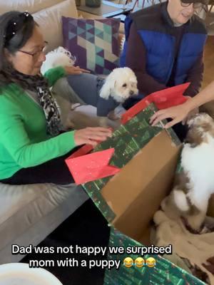 The big reveal of a new puppy for mom on Christmas Eve didn’t go quite a planned. 😂😂😂 (They’ve since come around hahaha) #humor #familyhumor #surprisegift #newpuppy