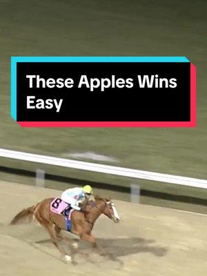 TAPWRIT’s daughter These Apples wins an $82,000 allowance easy tonight. #horse #horsesoftiktok #horseracing #horsetok #thoroughbredsoftiktok #equestrian #horses #thoroughbred #stallionsoftiktok #foalsoftiktok #belmontstakes 