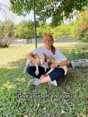 Our wonderful volunteer Anna and her dedication to dogs. Volunteering and fostering ❤️ She is so passionate about our Darlings 🐾 #darlington #humanesociety #shelterdogs #shelterdogs #fosterdog #adoptdontshop #adoptadog 