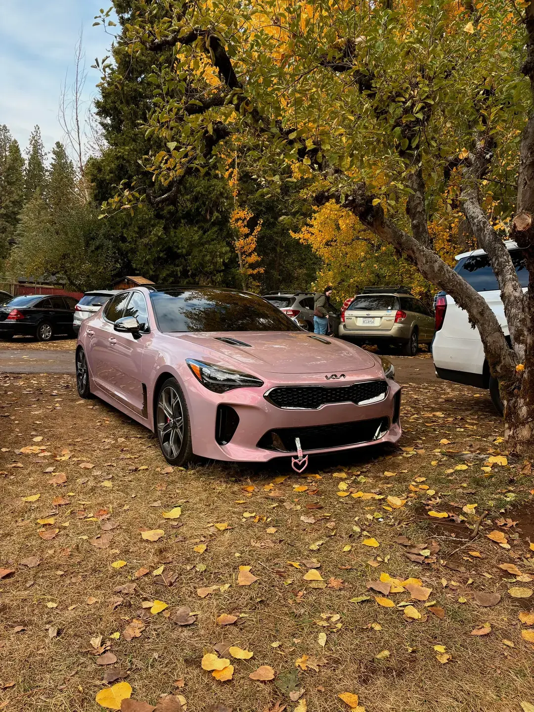 just put her new exhuast on 😁 #kiastinger #cartok