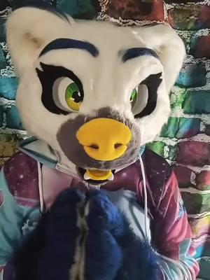 #onthisday boops. #leootterpup #furrytiktok #stitchespack #furryfandom #tiktokfurry 