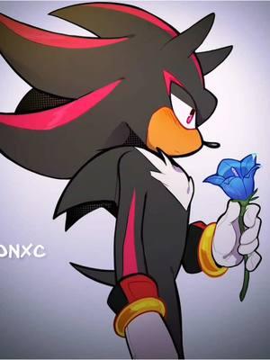 #SONADOW wait a minute, it’s my birthday again? (cdts: indigonite0 in twitter) #sonadow #xybca #fypppppp #sonic #aftereffects #sonicthehedgehog #shadow #flopera #fypシ 