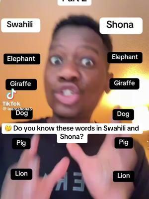 🤔 Do you know these words in Swahili and Shona? Check out the #facts in this #TikTok. Credit: @learnshona5  #language #swahili #Shona #Blackfacts #Blacklanguage #Africanfacts #Worldfacts #worldlanguage  #themoreyouknow #Blackgirlfollowtrain #Blackmanfollowtrain #Blackmenfollowtrain  #Blacktiktokcommunity #Africantiktok #Africantiktokcommunity #Africantiktokinterntional