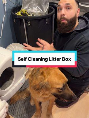 #creatorsearchinsights #automaticlitterbox #selfcleaninglitterbox #bestlitterbox #catsoftiktok #catlovers #cat #cats #catowner #TikTokShop #tiktokmademebuyit #tiktokfinds 