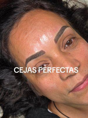 Cejas Perfectas todos los días con Microblading #brows #powderbrows #cejas #micropigmentacion #cejasperfectas #microblading 