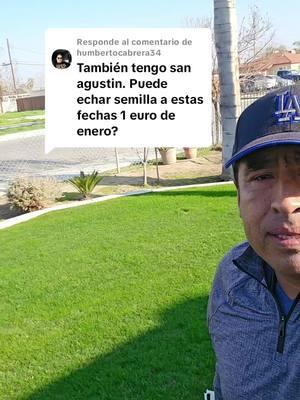 Respuesta a @humbertocabrera34 #jardineros #jardineriaencasa 