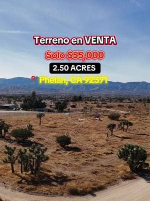 Terreno en VENTA (Land for Sale) $55,000.00 2.50 ACRES  📍 PHELAN CA 92371  Info ☎️ 951-287-2398 Erika Valdovinos/ Realtor  DRE 02155503  Dynasty Real Estate  Brokered by: Coldwell Banker Home Source #fy #rancho #terreno #fiestas #🤠 #🚜 #compton #losangeles #anaheim #paratiiiiiiiiiiiiiiiiiiiiiiiiiiiiiii 